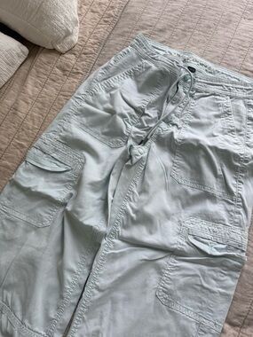 American Eagle Outfitters Light Blue Wide Leg Cargo Pants